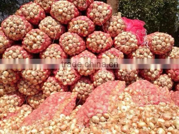Win a Different Product From the Egyptian Onions photo-3