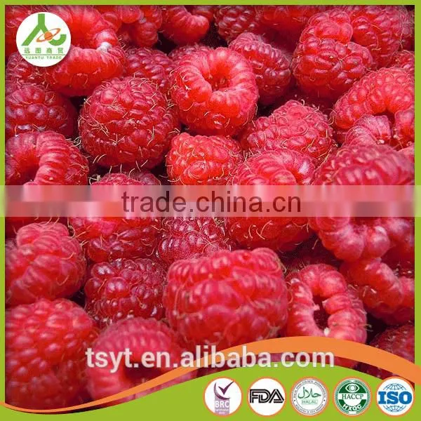 Golden Supplier of Top Quality IQF Frozen Raspberry photo-2