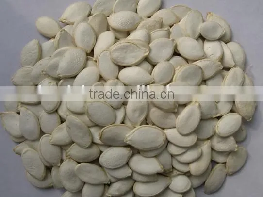 Snow White Pumpkin Seeds in Shell photo-3