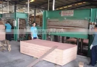 Film Faced Plywood Vietnam/Plywood Manufactuter in Vietnam/Vietnam Plywood With Chinese Glue photo-2
