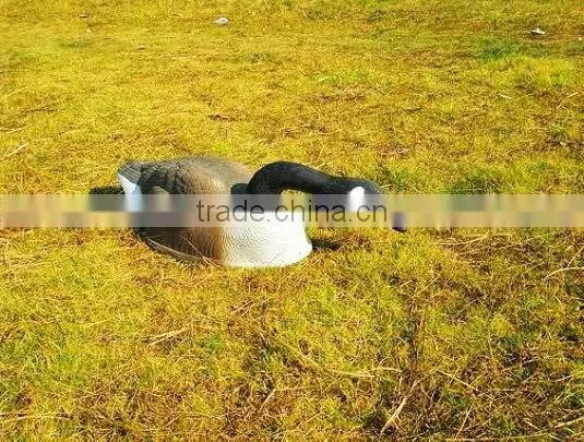 Plastic Colourful Goosey,resting Decoy,watching and Hunting Decoy Goose photo-4