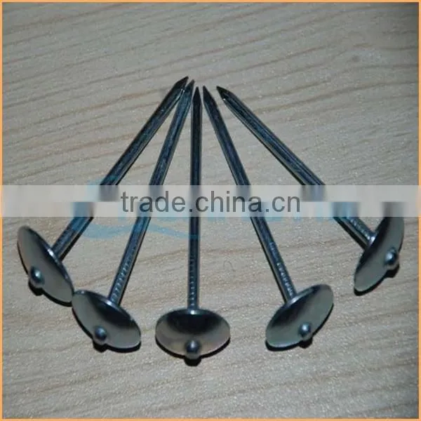 Top Quality Galvanized Umbrella Roofing Nails to Tanzania Trusted Chuanghe Suppliers From Com photo-6
