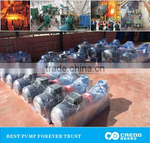 Credo Hot Water Circulating Pump photo-4