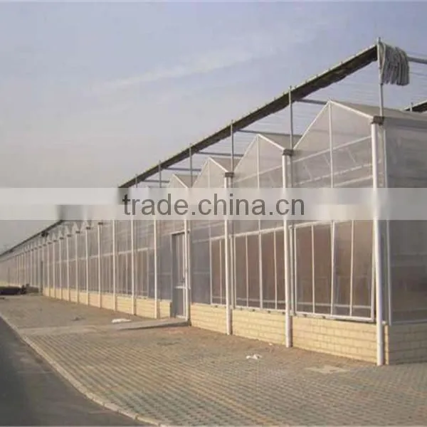 PC Board Covering Large Greenhouse With High Light Transmission photo-2