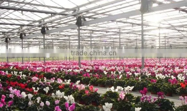 Flower Greenhouse photo-2