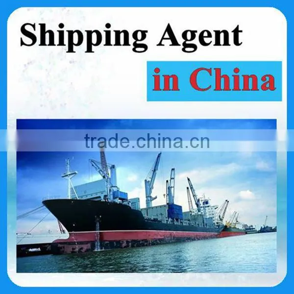 Sea Freight Cargo Service to Abu Dhabi