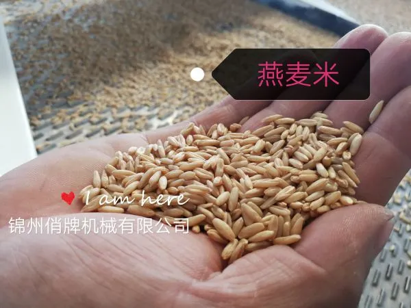 OATS DEHULLING&SEPARATING EQUIPMENT photo-3