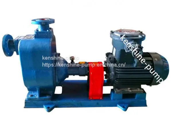 CYZ-A Self Priming Fuel Oil Pump photo-2