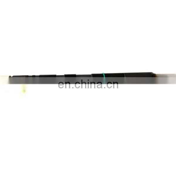 Fuel Injector Del-phi Original In Stock Common Rail Injector EMBR00301D photo-2
