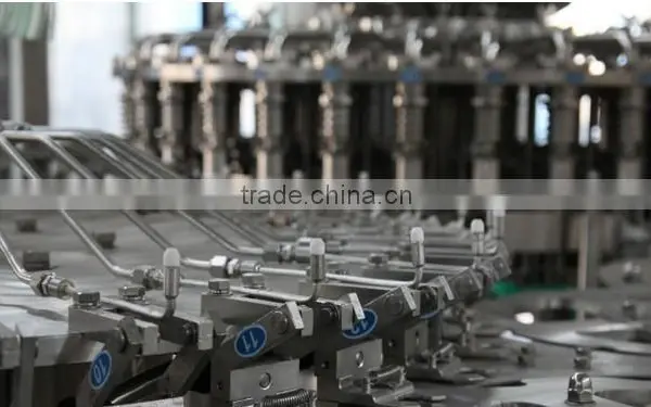 Automatic Small Bottled Juice Filling Machine photo-3