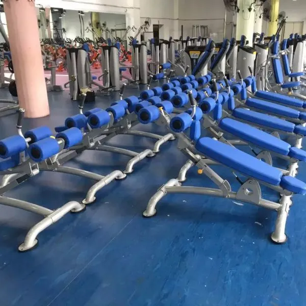 Factory Muscle Exercise Top Quality Cheap Abdominal Bench Incline Adjustable Sit Up ABS Bench photo-3