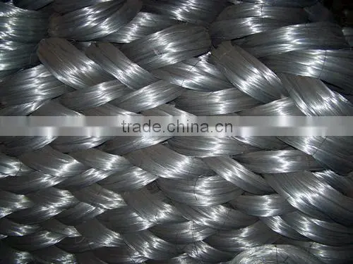 Low Carbon Steel Wire, Galvanized Iron Wire photo-6