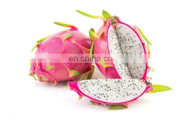 Dragon Fruit in Vietnam is Rich in Nutrients at the Best Price photo-5