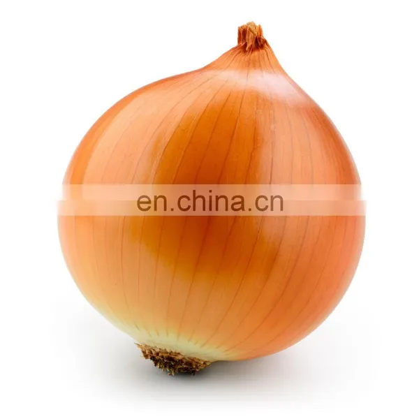 FROZEN VEGETABLE ONION HIGH QUALITY FROM VIETNAM IQF GOOD PRICE HOT SELLING NEW CROP photo-4
