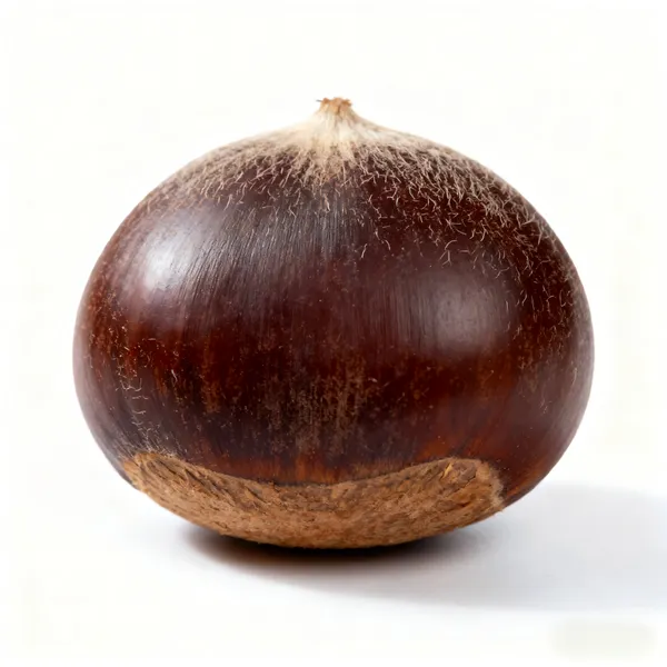 Fresh Shan Dong Chestnut photo-5