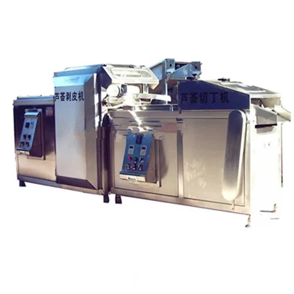 High Quality Aloe Vera Gel Processing Line photo-4