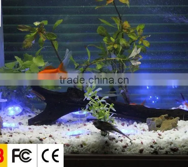 IP68 Waterproof Romantic Underwater Decorative Lights LED Point Light Source photo-4