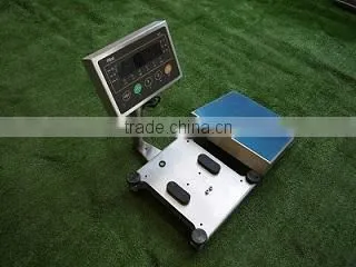 SUS304 Stainless Steel Waterproof Electronic Wash Down Bench Scale photo-3