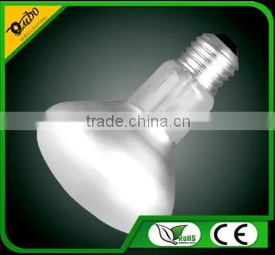Hangzhou Reflect R60 Led Bulb, Led Light photo-3