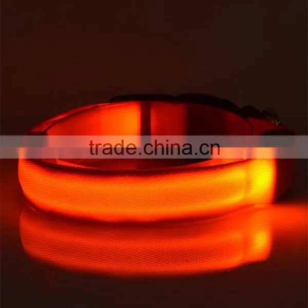 LED Dog Collar photo-2