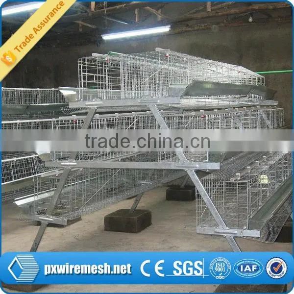 Layer Chicken Battery Cage/battery Cage/boiler Battery Cage
