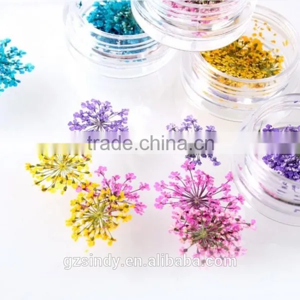 3D Nail Art Acrylic Flower Nail Decoration /nail Real Dried Flowers ZX:GH750 photo-2