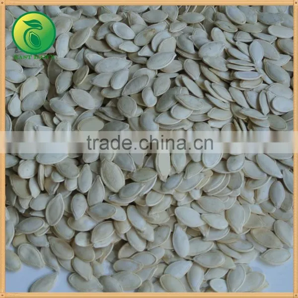 Hot Products Pumpkin Non-Edible Seeds photo-3