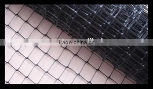 100% pp Plastic Grass Growing Net/Turf Growing Net photo-5