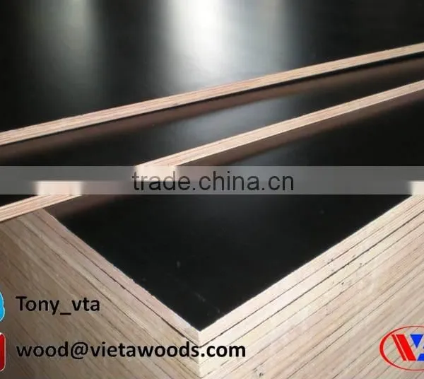 Plywood Film Coated With Brand Name in Vietnam photo-4