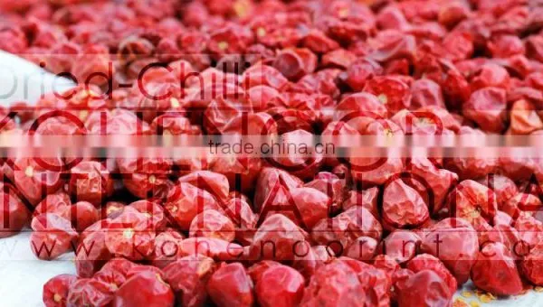 Dried Chili & Crushed photo-3