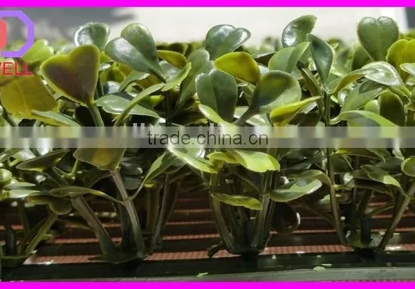 Artificial Hedge For Home Decoration photo-4