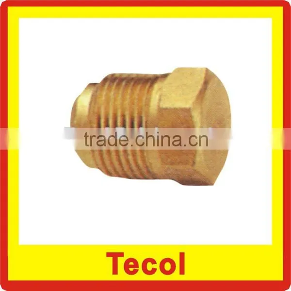 brass pipe plug