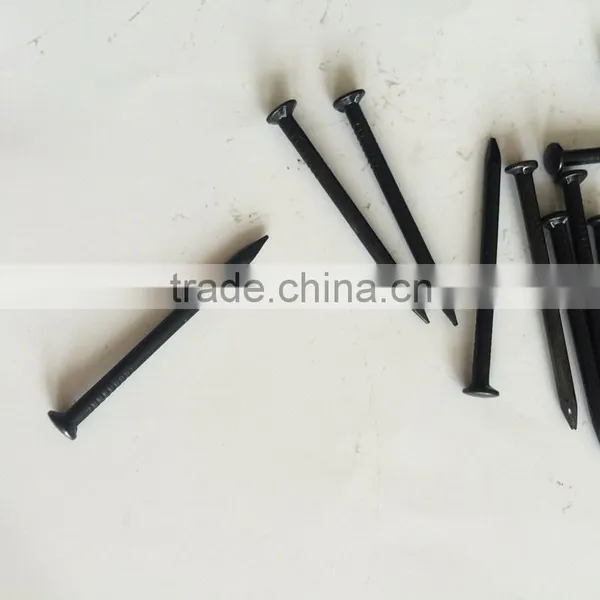 Tianjin Factory Supply Polished Black Concrete Nails photo-2