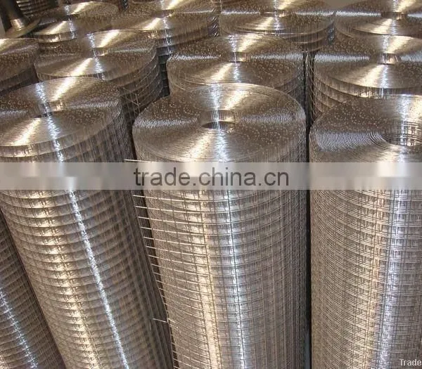 New Product Galvanized Welded Wire Mesh/ Welded Wire Mesh Fence for Sale photo-4