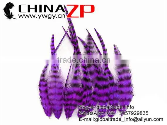 Top Supplier ZPDECOR Bulk Sale Selected Prime Quality Purple Chicken Rooster Saddle Feathers photo-4