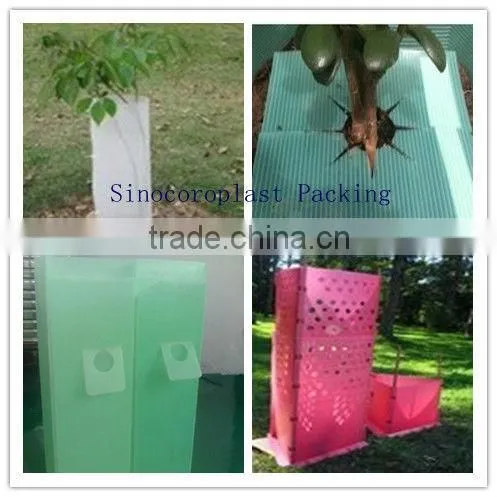Recycled Green Plastic Tree Guard photo-2