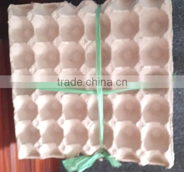 Egg Paper Tray photo-5