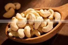 BUY WHOLE SALE CASHEW NUT WW240 FROM VIETNAM