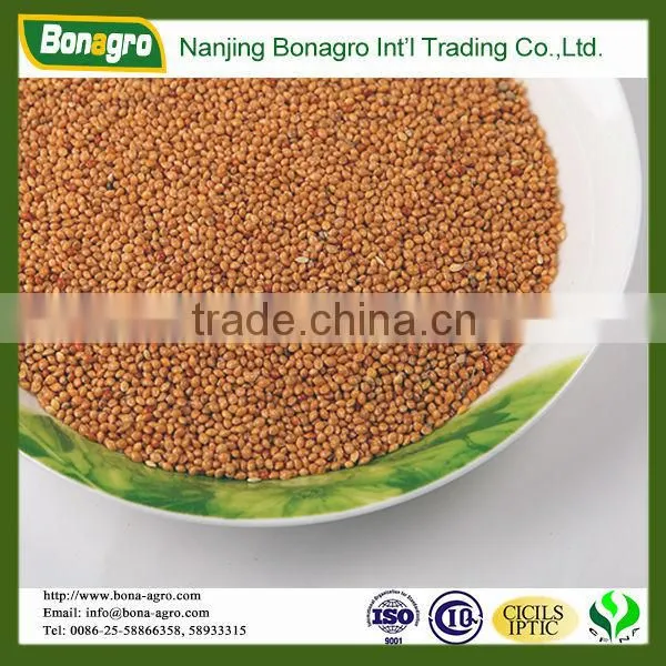 Millet /yellow Millet