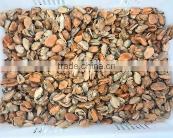 Frozen Mussel Meat photo-3