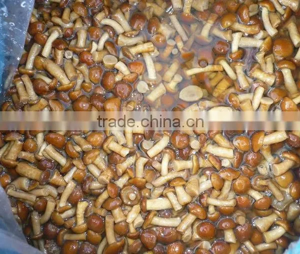 Canned Nameko Mushroom