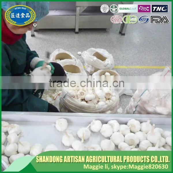 Fresh Garlic for Sale photo-4