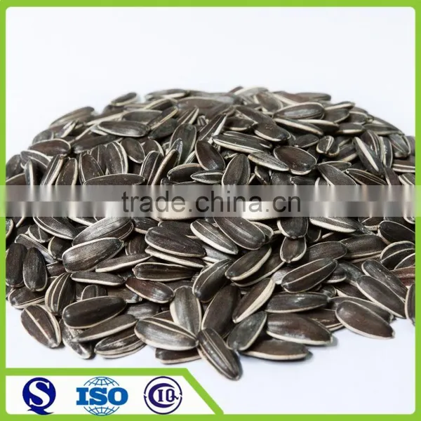2016 New Crop 5009 Type Sunflower Seed