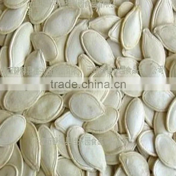 Pumpkin Seeds
