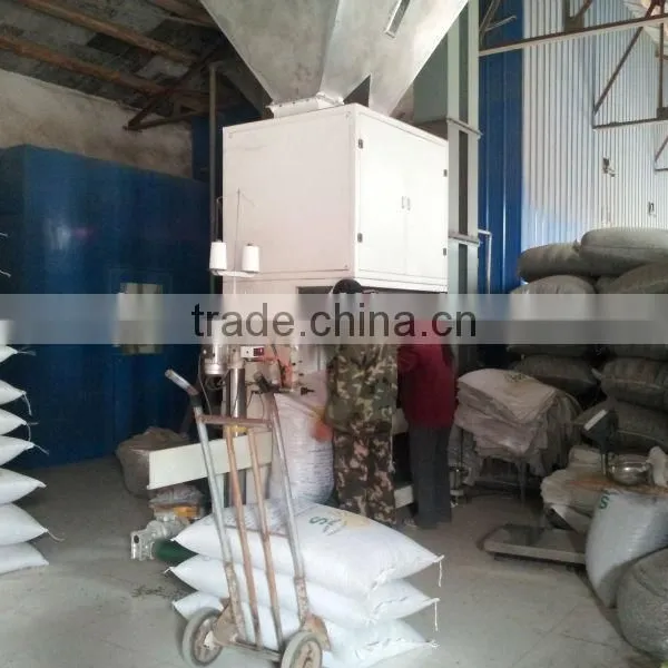 Sell SUNFLOWER SEEDS 5009, 6009, 363, 1121at Cheap Price photo-5
