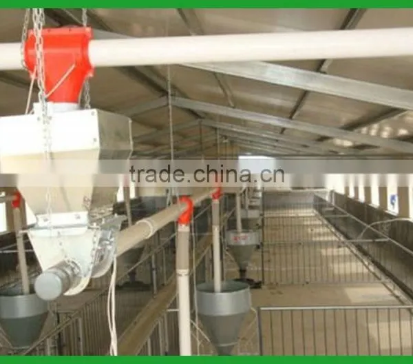 Pig Feeding Equipments / Automatic System photo-4