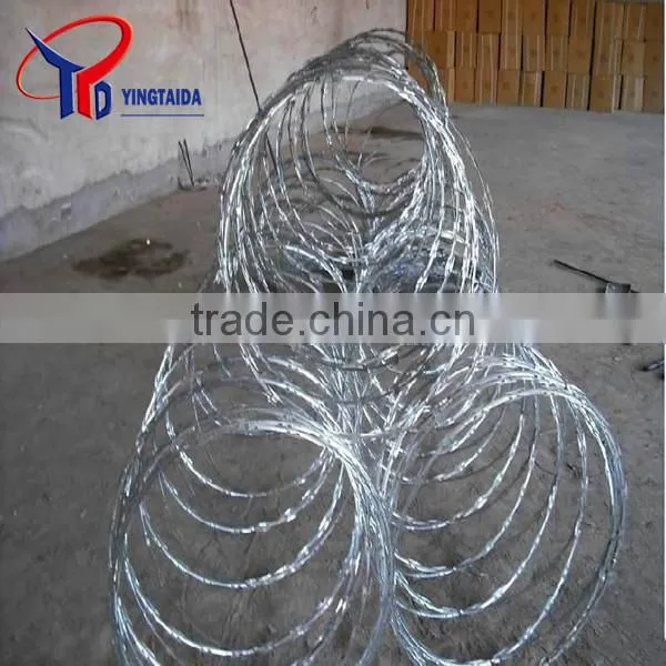 Razor Wire photo-3