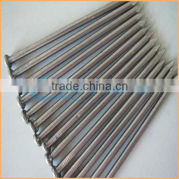 Manufacture High Quality Low Price Price per kg Iron Nail photo-2