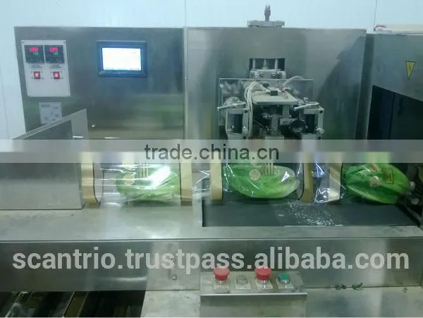 Automatic fresh vegetable, whole salad packing machine.