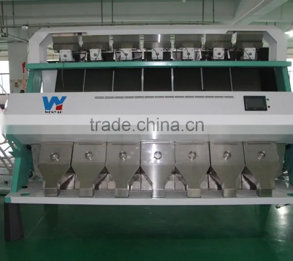 2017 Popular CCD Camera Dehydrated Garlic Color Sorting Machine photo-6